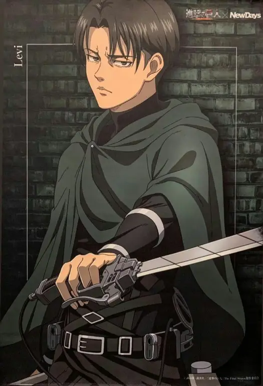 Levi Ackerman, Kapten Pasukan Khusus Gambar Levi Ackerman dari Attack on Titan