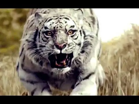 Adegan pertarungan dalam film Kera Sakti