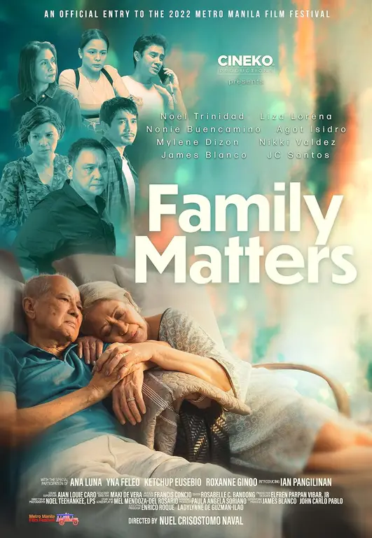 Poster Film The Family Poster film The Family 2013